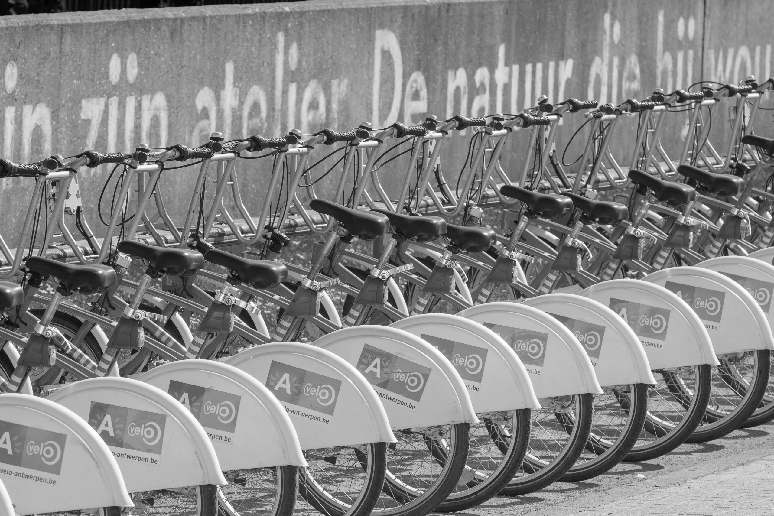 TSI Digital Solution Lease your website till its yours