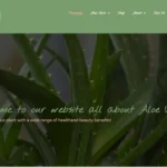 The Aloe Vera Boutique