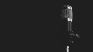 Voice Search Optimization, microphone, voice