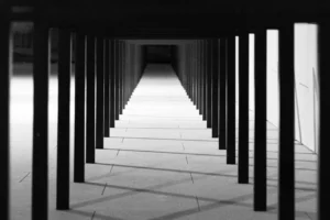 web development templates
