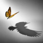 TSI WebP Converter Tool